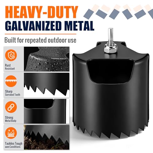 Sand & Clay Soil