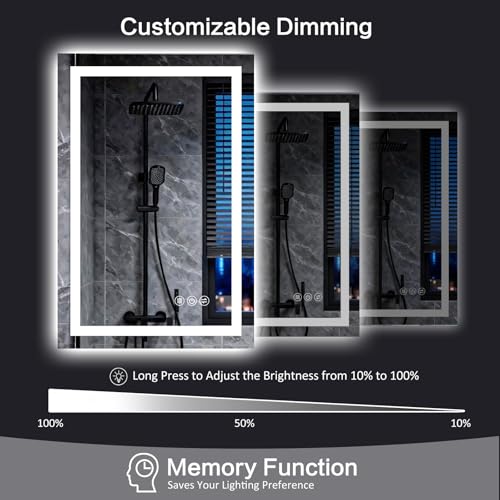 LED Wall Vanity Mirror with Lights