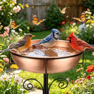 12" Dia Removable Bird Baths Water Bowl for Outside
