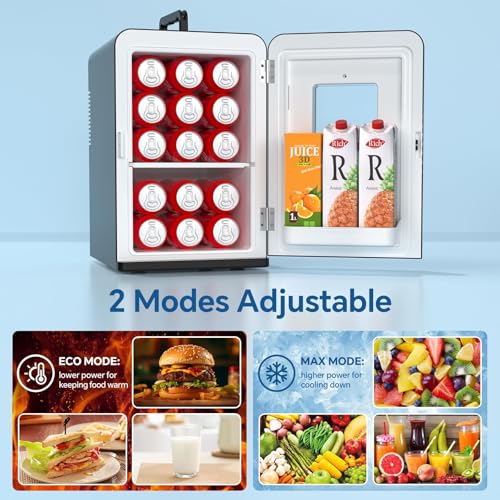 Thermoelectric Electric Cooler & Warmer Skincare Fridge for Drinks