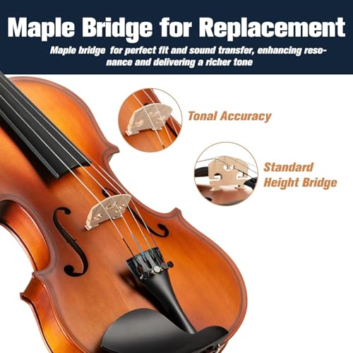 Extra Strings & Bridge