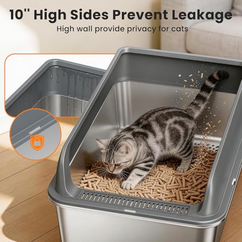 Sifting Box Liners and Scoop