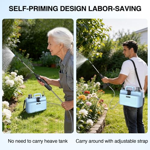Lawn