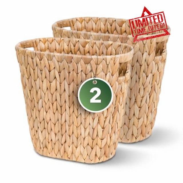 iEGrow 2 Pack Wicker Trash Can