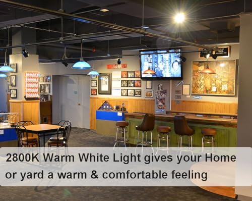 PAR30 Dimmable