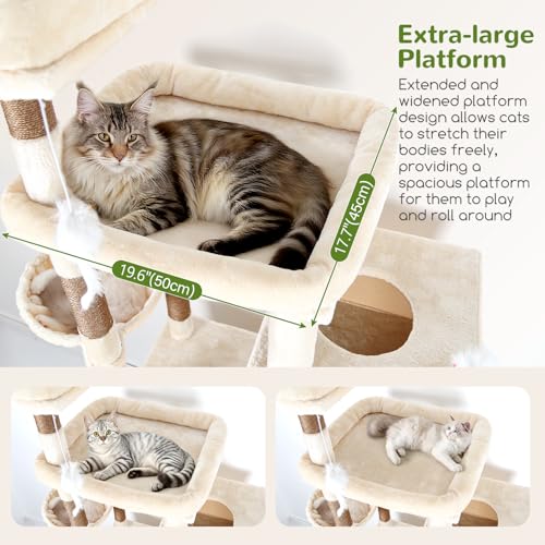 8 Scratching Posts