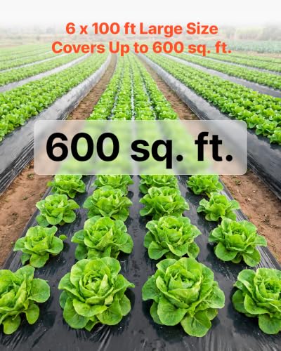 Polyethylene Covering for Crawl Space Vapor Barrier
