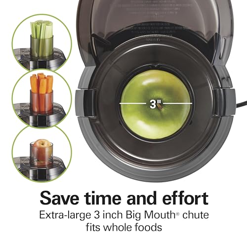 Vegetable & Fruit Juicer
