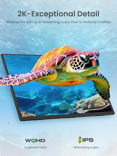 350Nits QHD IPS Large Travel Gaming Second Screen for Laptop