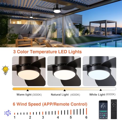 for Patios Gazebo