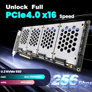 Supports U.2 NVMe SSDs and SATA SSDs/HDDs