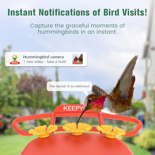 AI Identify Bird Species