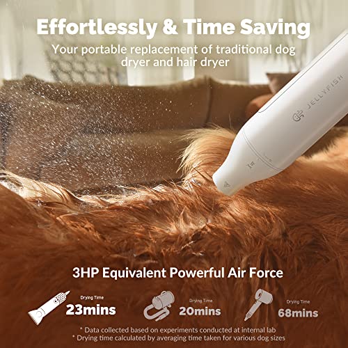 Portable High Velocity Blow Dryer for Travel & Home