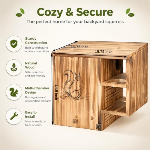for Backyard Wildlife