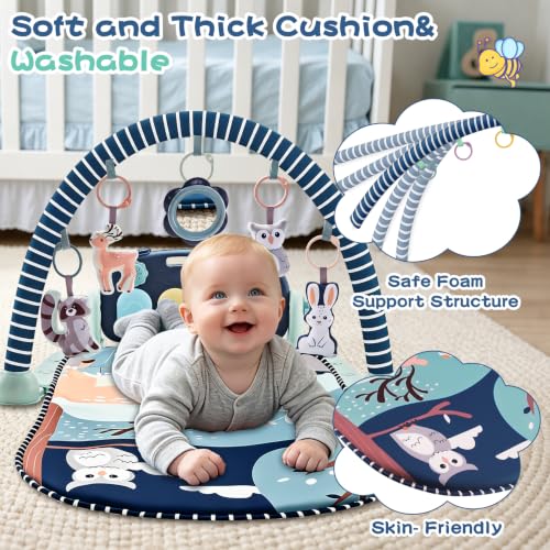 Infant Play Mat and Activity Gym
