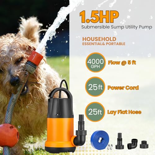 Portable Utility Pump