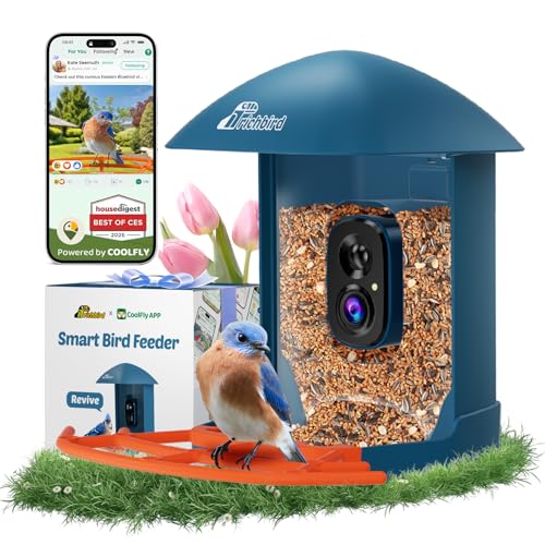 2K HD Birdwatching Camera with AI Identify Bird Species & Solar Panel