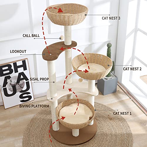 Cat Scratching Tree