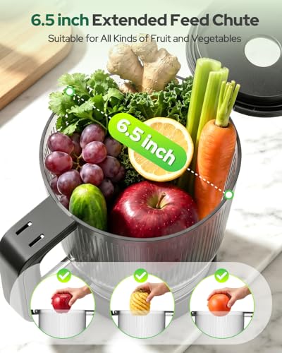 3-in-1 Smart Touch Slow Juicer for Sorbet & Nut Milk