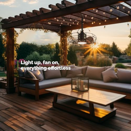 Plug in Caged Lighting for Pergola Canopy