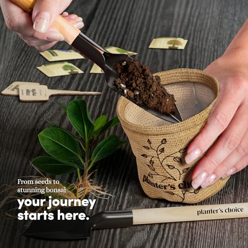 Adults - Indoor Live House Plants - DIY Adults Craft Kits - Unique Hobby Gift Gardening Lovers - Gift Ideas Mom