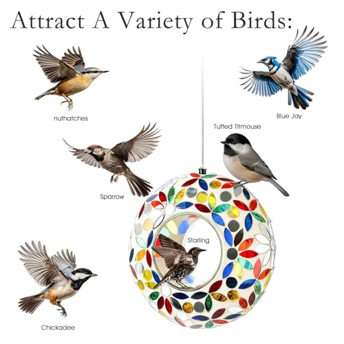 Gift for Bird Lovers