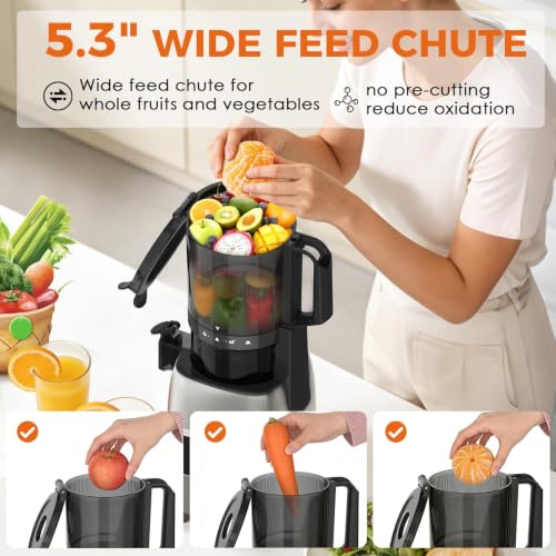 High Yield Fruit Juicer