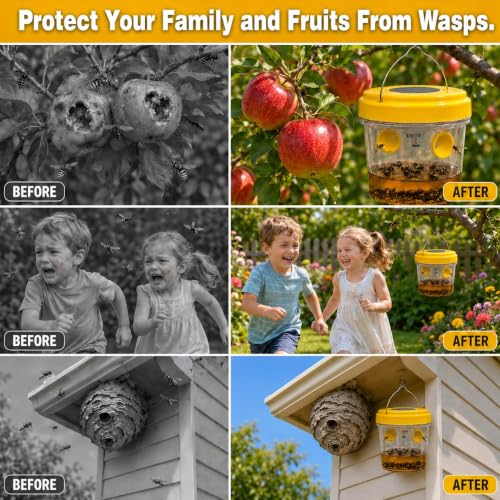 Hornet Traps