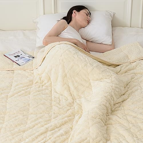 Soft Sherpa Twin Size Heavy Blanket with 3D Jacquard Flannel Fleece Weighted Blankets for Couch and Bed