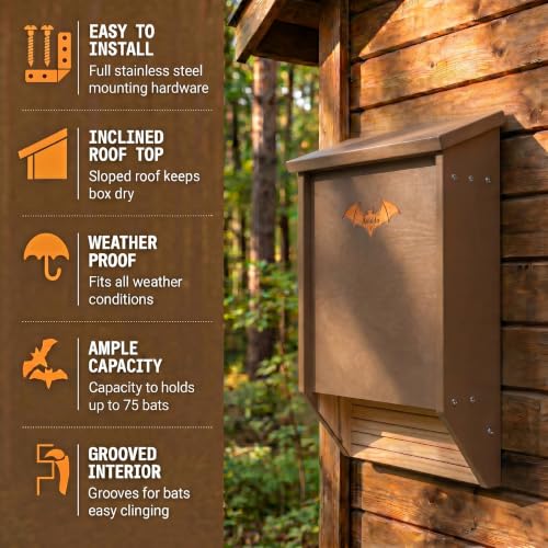 solid natural wood