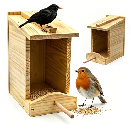 Attracts Robins
