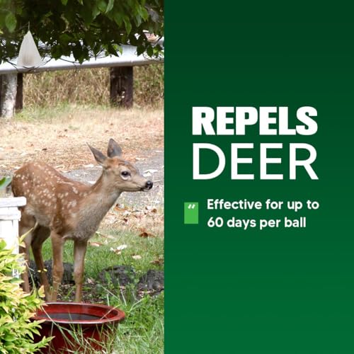 Keep Deer
