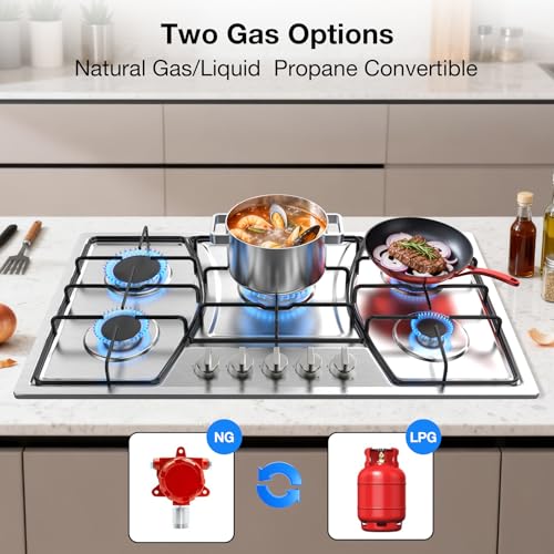 NG/LPG Two Conversio
