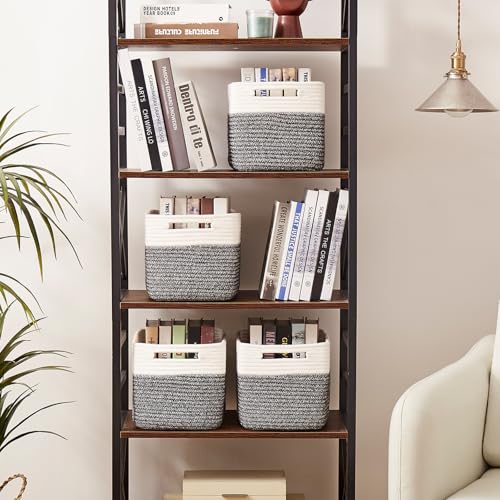 Books & Toys