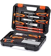 REXBETI 25Pcs Metal File Set, Premium Grade T12 Drop Forged Alloy Steel, Flat/Triangle/Half-round...