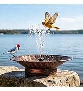 Bird Bath for Outside, Solar Bird Bath Bowl Fountains, Solar Powered Outdoor Bird Baths for Garde...