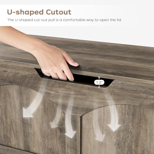 31.5" x 15.7" x 18.3" Storage Chest Box Organizer Bench