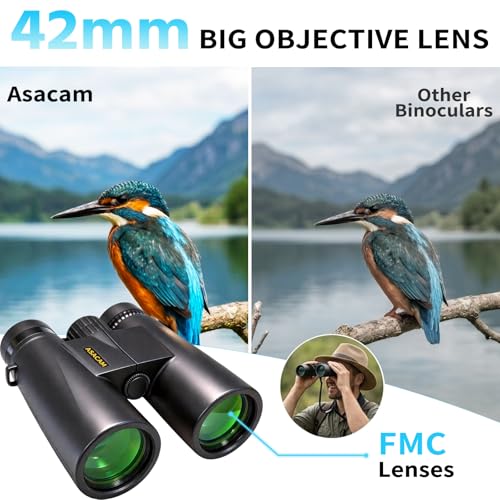 Lightweight for Bird Watching