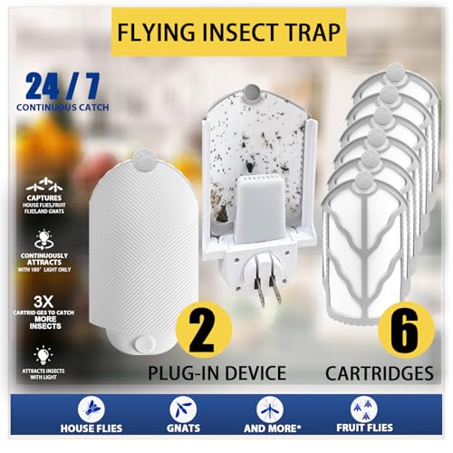 Gnats & Small Flying Pests