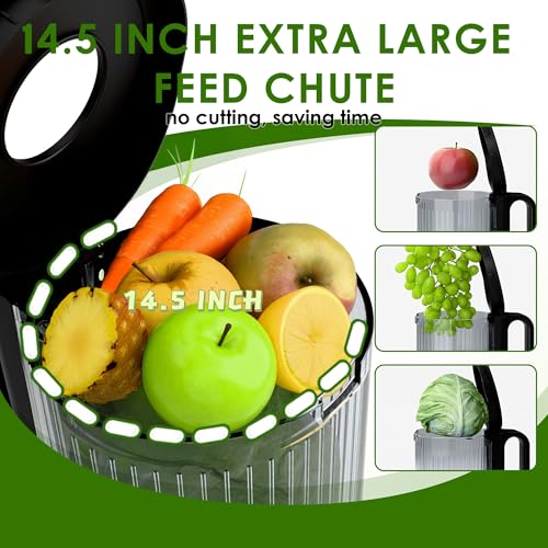 Juicer Easy to Clean for Whole Vegetables Fruits