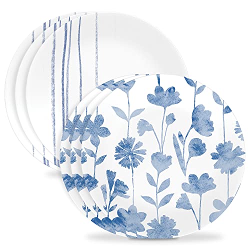 Scratch Resistant - Botanical Stripes