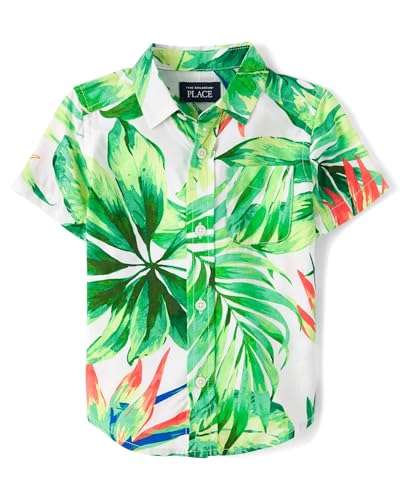 The Children's Place Baby Boys' and Toddler Poplin Short Sleeve Button Down Shi