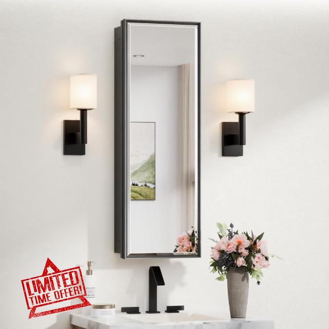 TokeShimi 12x36 Recessed Medicine Cabinet with Mirror Surface Mount