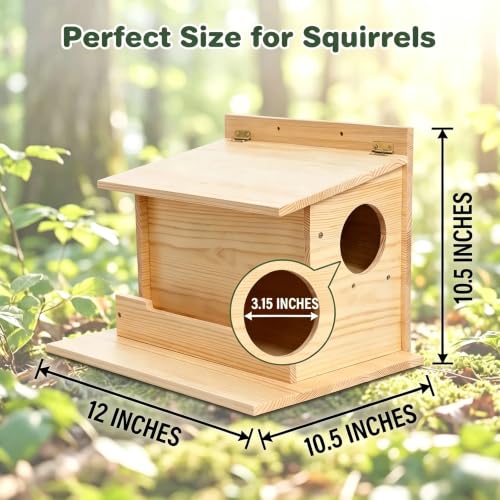 Squirrels Box with External Feeder