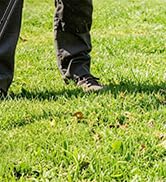 weed whacker