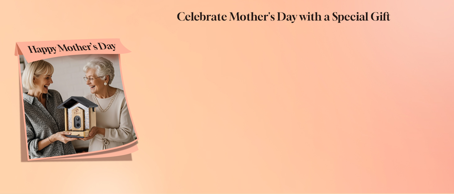 Celebrate Mother's Day with a Special Gift