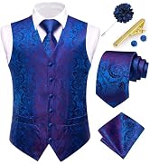 Dubulle Mens Vest and Tie Set Paisley Floral Waistcoat Neckties for Men Lapel Pin Clip Set Weddin...