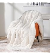 Topblan Weighted Blanket for Adults (60" x 80" 15lbs, Dark Grey), Soft Sherpa Queen Size Heavy Bl...