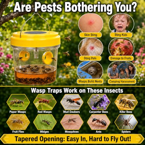 Bee Traps Outdoor Hanging