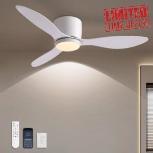 LUDOMIDE Ceiling Fans with Lights